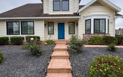 Exterior House Painting